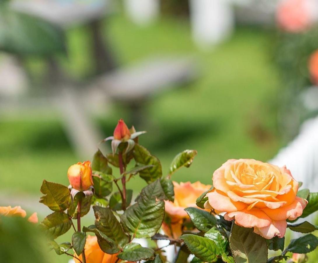 Amber Kiwi Holiday Park & Motels Christchurch Ngoại thất bức ảnh
